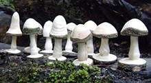 地產景觀小品商業空間酒店會所軟裝配飾雕塑擺件木雕蘑菇